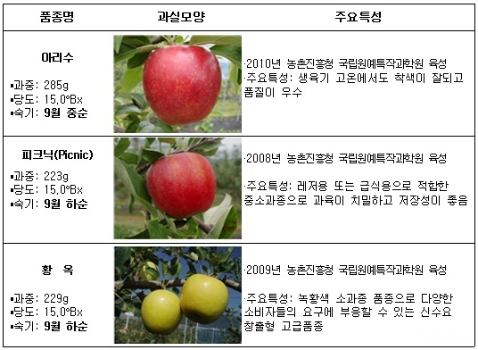 중간크기 사과 소비자 입맛 사로잡다