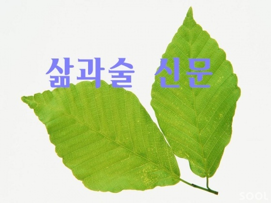 주세법 시행령