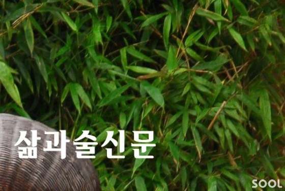 임상학적 유형으로 본 간질환의 7가지 분류