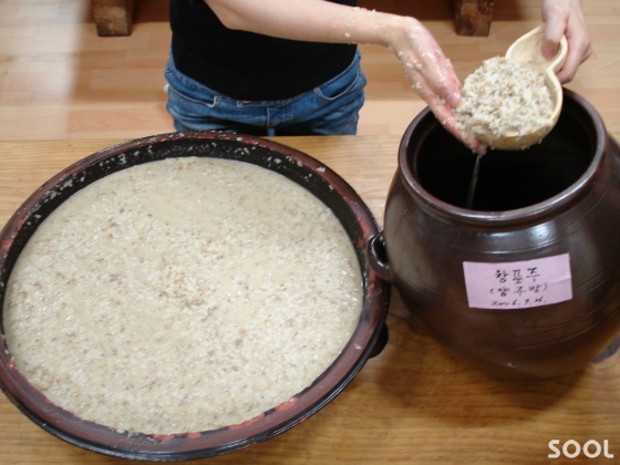 창포주(菖蒲酒) 스토리텔링 및 술 빚는 법
