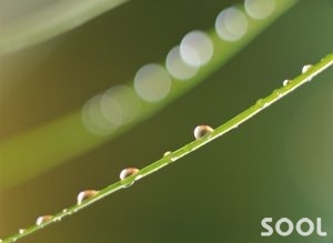 술 주변의 희귀한 이야기들