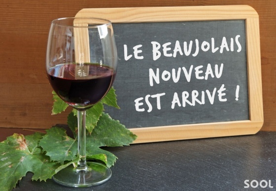 햇 와인인 보졸레 누보(Beaujolais Nouveau)란 무엇인가