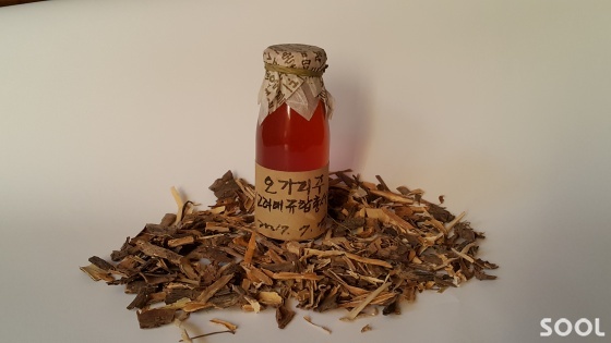 “수레에 가득 찬 금옥(金玉)보다 낫다” 오가피주(五加皮酒)