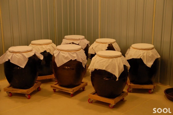막걸리로 빚는 술… 급시청주(急時淸酒)·급청주(急淸酒)