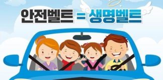 모든 도로 ‘전좌석 안전띠’ 의무화…위반 과태료 3만원