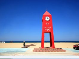 “산불 피해 입었지만 여행갈 곳은 많아요”