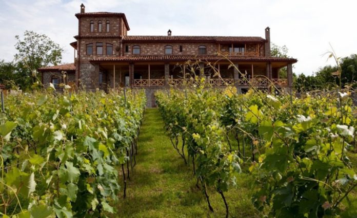 1. 수영장과 와인 테라피로 유명한 Schuchmann Wine Chateau