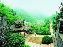 귀거래사〉에서 도연명이 노래하는 술과 도교적 무릉도원