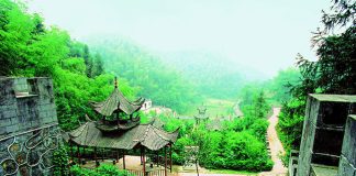 귀거래사〉에서 도연명이 노래하는 술과 도교적 무릉도원