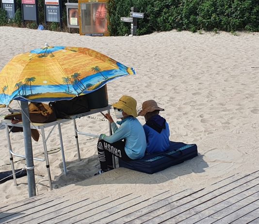 세상이 어떻게 변할까 여행과 삶은 어떻게 되어질까