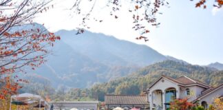 함양의 하미앙 와인밸리, 엑스포 관람객 대상으로 산머루 와인 프로모션
