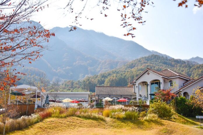 하미안 와인밸리