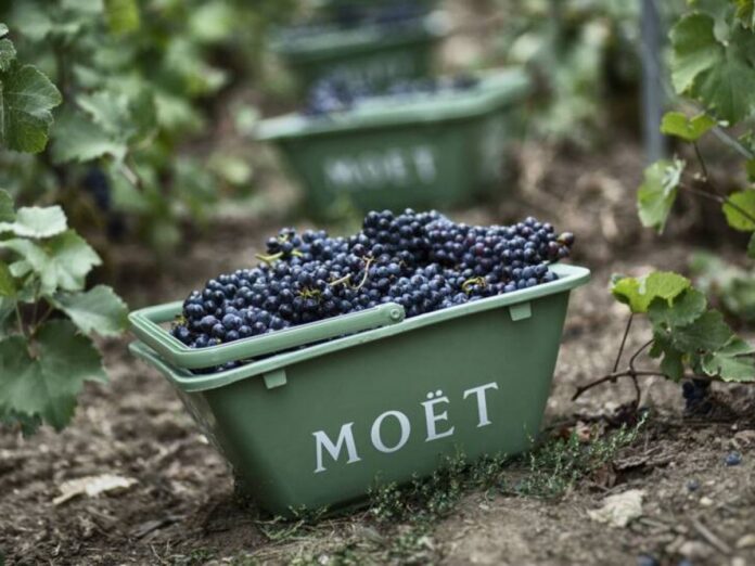 moet