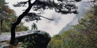 도연명에게 친구가 있을 때 항상 술이 있었다