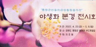4월말에 즐기는 “강원도래요”