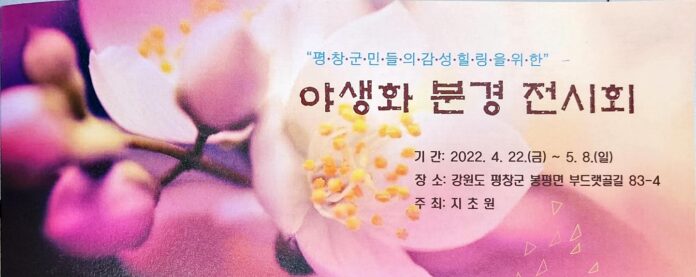 KakaoTalk_20220416_090256659