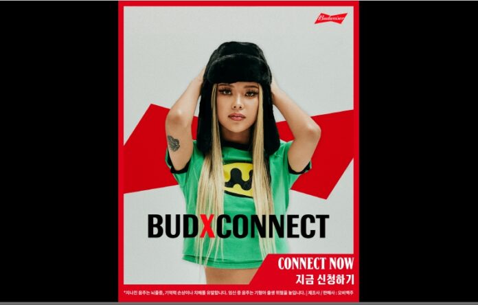 버드