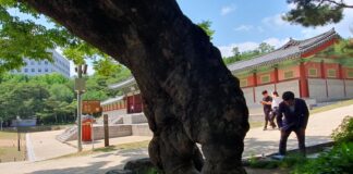 高麗葬 지내자는 말 안 나온 것이 다행