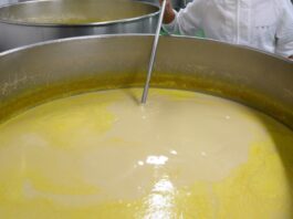 전통주와 맥주제조방법의 차이및 병합
