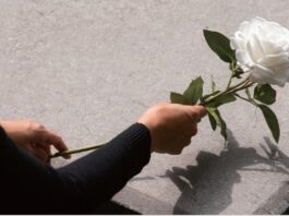 장례식장에서 튀어나온 술이야기