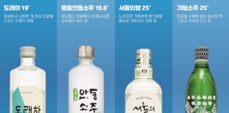 여름의 중심에서 하이볼을 마시다