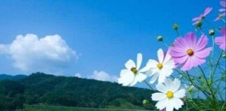 가을인 갑쏘~~
