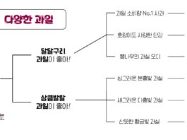 과실주 취향찾기