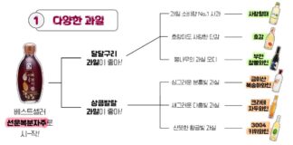 과실주 취향찾기