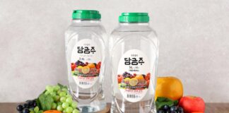 집에서 빚는 전통의 맛, 담금 주의 세계