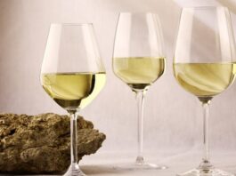 ‘미네랄 향미(Minerality)’란 없다?