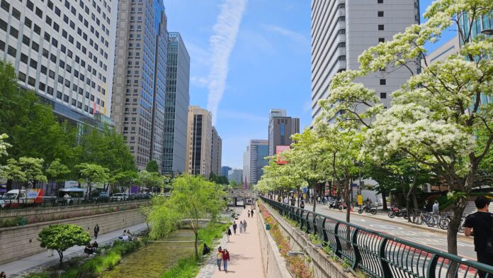 오월의 도심