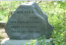 허균이 술집에서 찾은 해방의 비법